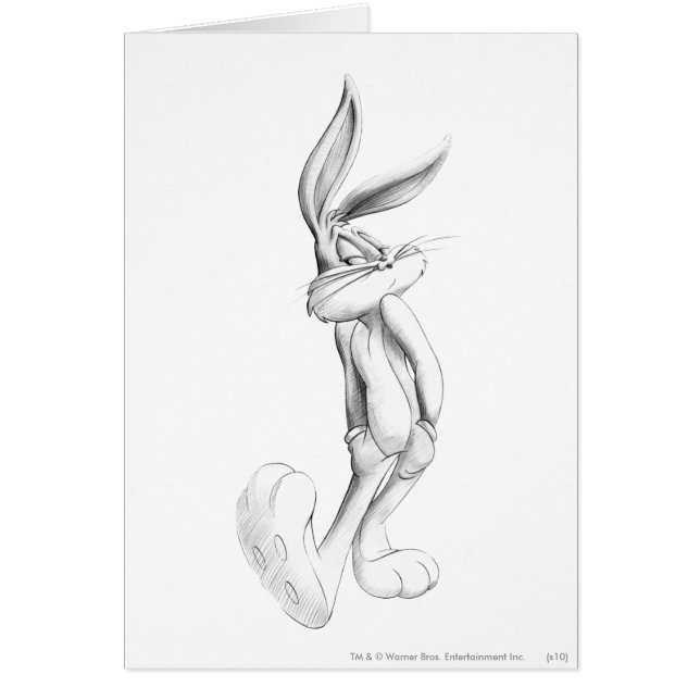 Cartão INSETOS BUNNY™ Desenho 2 (Frente)