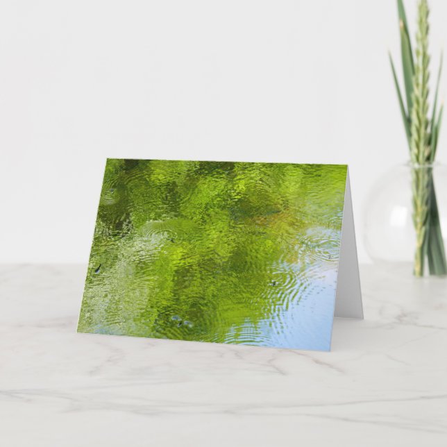 Cartão Insetos de água no Parque Estadual de Laurel Hill (Frente)