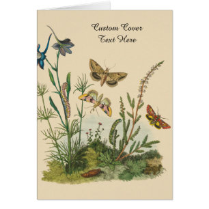 Cartão Insetos de Jardim Antigos, Borboletas, Lagartas