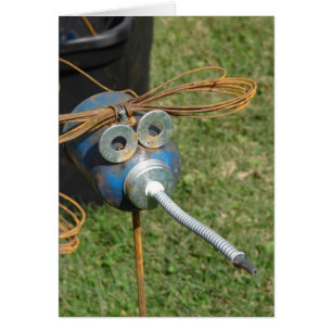 Cartão Insetos De Óleo