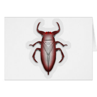 Cartão Insetos no código…