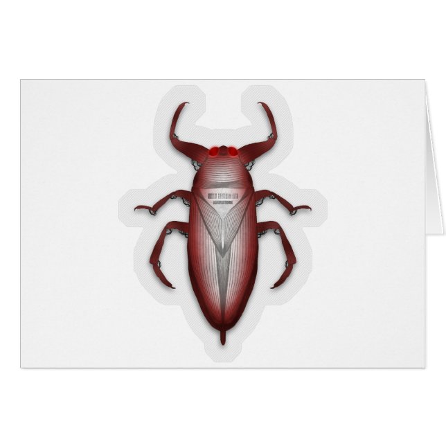 Cartão Insetos no código… (Frente Horizontal)