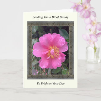 Cartão Inspiration Get well Card com Camellia Rosa