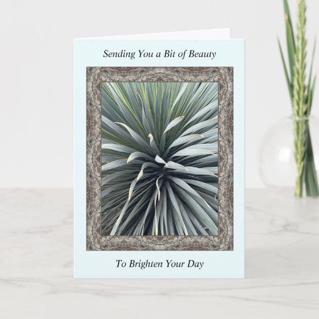 Cartão Inspiration Get well Card com uma Yucca impression (Frente)