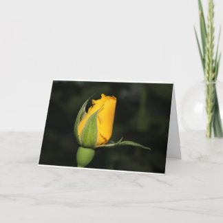 Cartão Inspiration rose card with bible verse