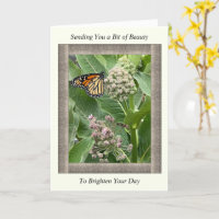 Inspirational Get well Card com borboleta Monarca