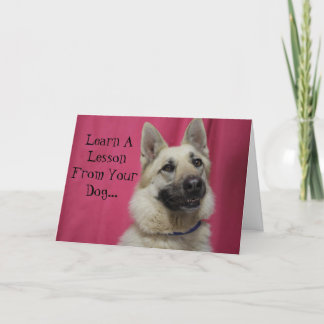 Cartão Inspirational Greeting Card for Dog Lovers