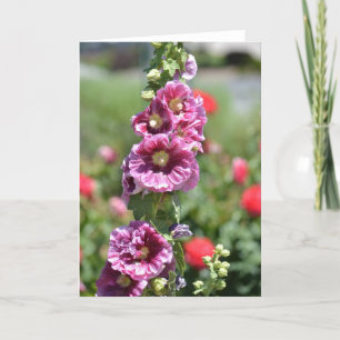 Cartão Inspired Hollyhock Flowers