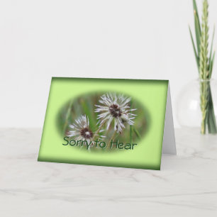 Cartão Inspiron Wet Dandelion - ou qualquer ocasiã