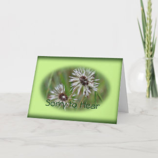 Cartão Inspiron Wet Dandelion - ou qualquer ocasiã
