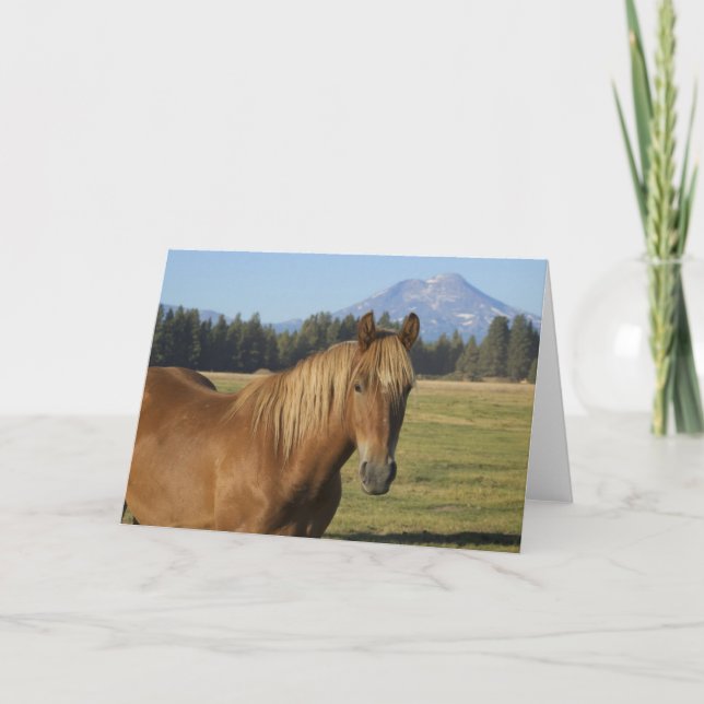 Cartão Intervalo em Cascata | Chestnut Horse (Frente)