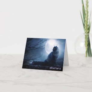 Cartão Intriguing Siberian Cat at Nighttime