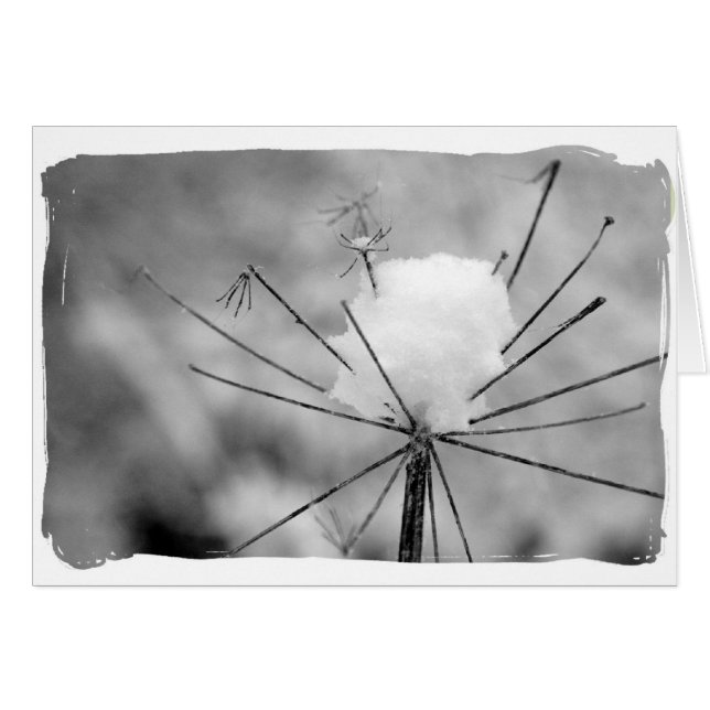 Cartão Inverno (Frente Horizontal)