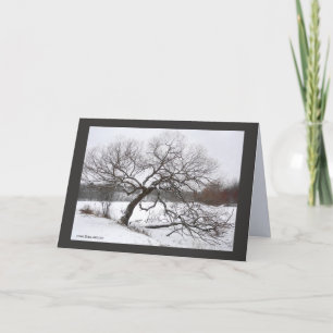 Cartão Inverno da senhora Salgueiro