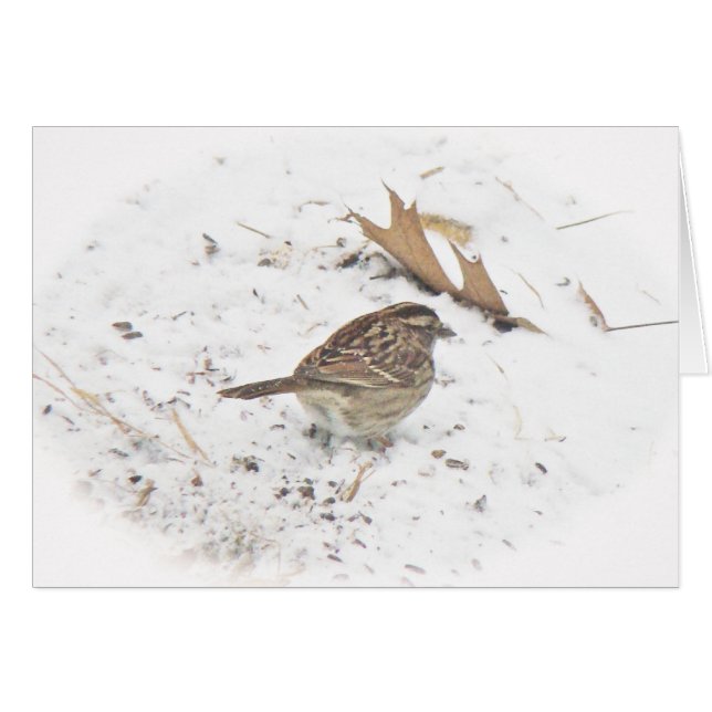 Cartão Inverno e Sparrow (Frente Horizontal)