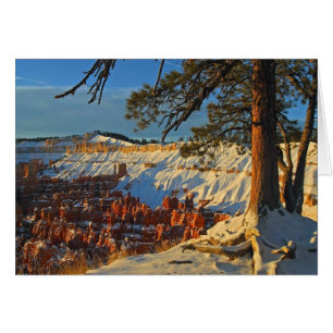 Cartão Inverno em Bryce Canyon