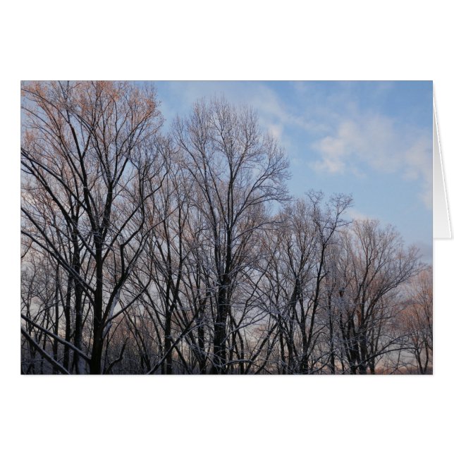 Cartão Inverno Morning III Paisagem natural (Frente Horizontal)