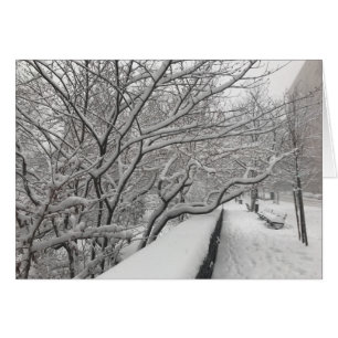 Cartão Inverno na Nova Iorque Riverside Park Snow NYC
