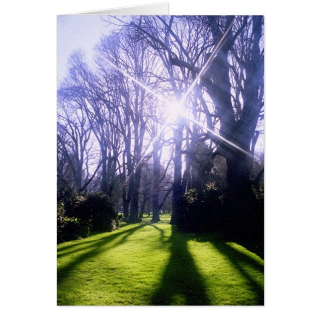 Cartão Inverno no Jardim Fitzroy (Frente)