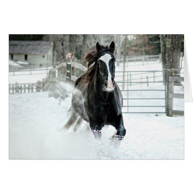 Cartão Inverno Running de Brenda Lee (Frente Horizontal)