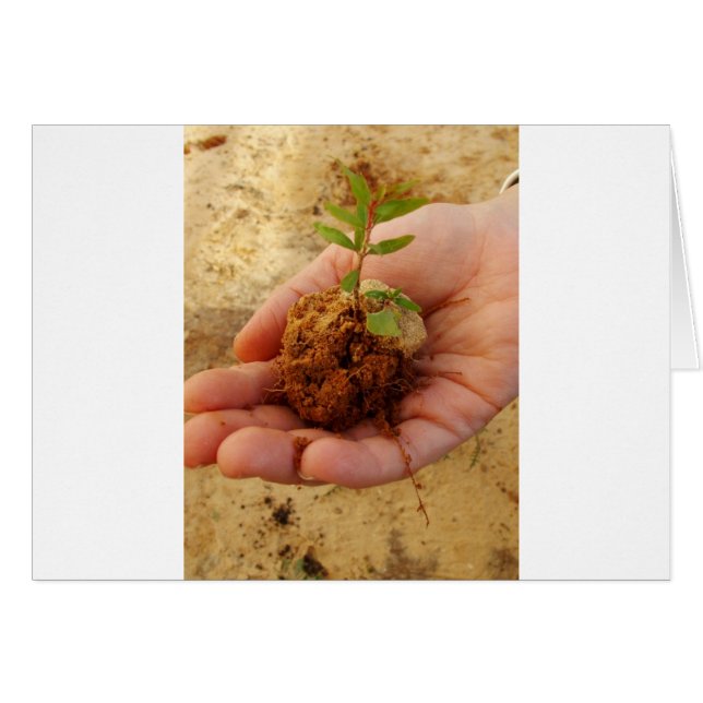 Cartão Investir no Crescimento (Frente Horizontal)