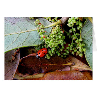 Cartão Ir para casa para jantar