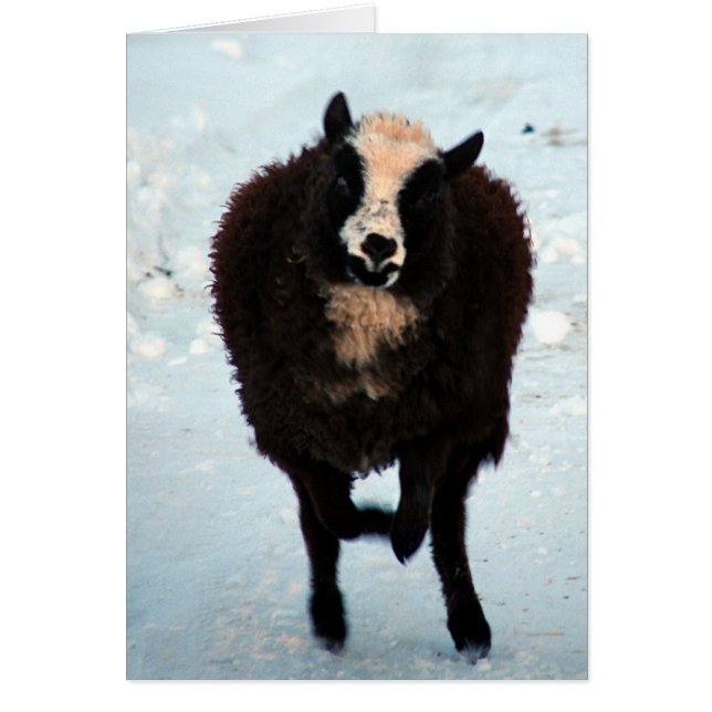 Cartão Ir para o Dourado (Frente)