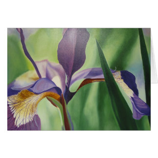 Cartão Íris