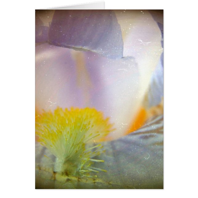 Cartão Iris (Frente)