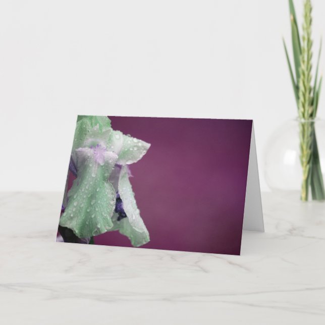 Cartão Iris (Frente)