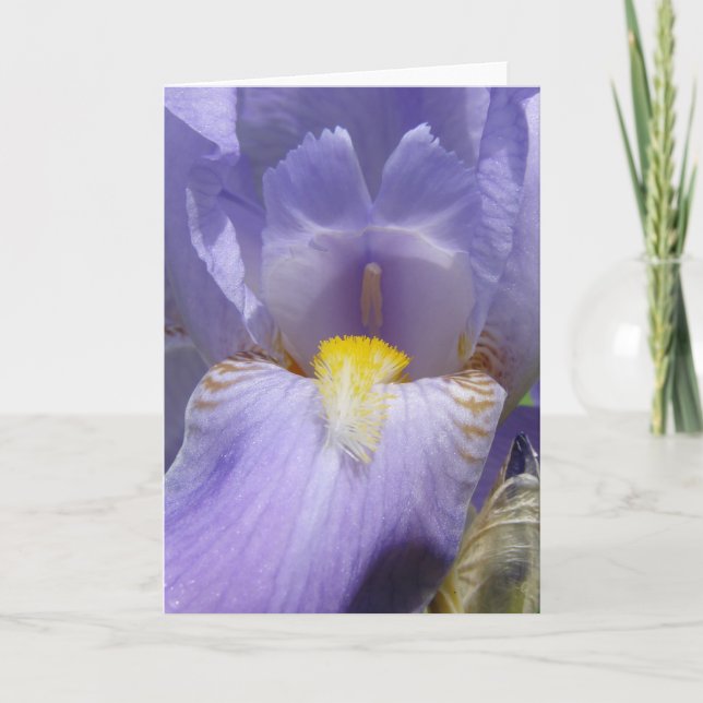 Cartão Iris (Frente)