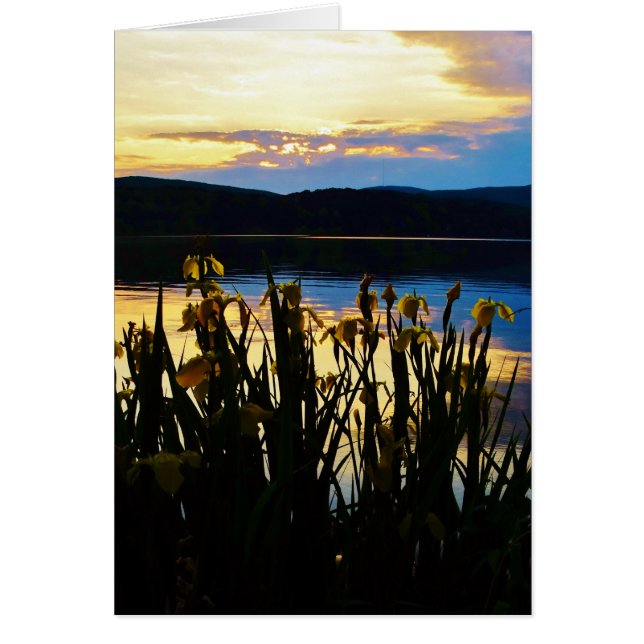 Cartão Íris Amarelo no lago da margem (Frente)