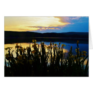 Cartão Íris Amarelo no lago da margem