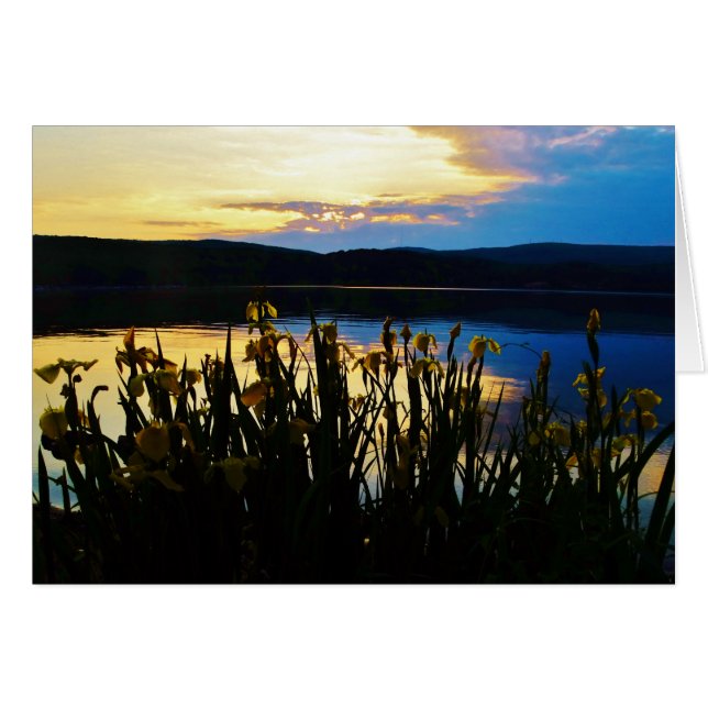 Cartão Íris Amarelo no lago da margem (Frente Horizontal)