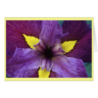 Cartão Iris Bloom