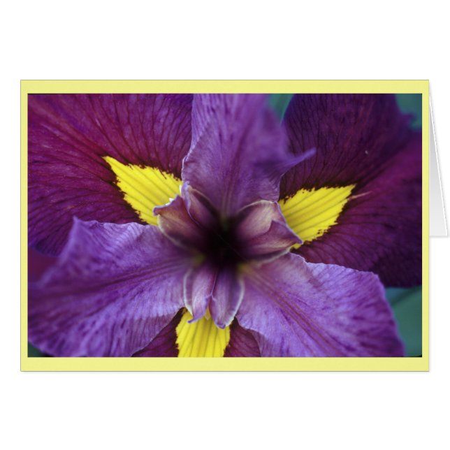 Cartão Iris Bloom (Frente Horizontal)