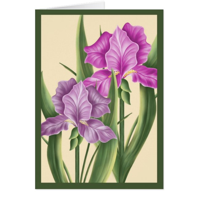 Cartão Íris cor-de-rosa (Frente)