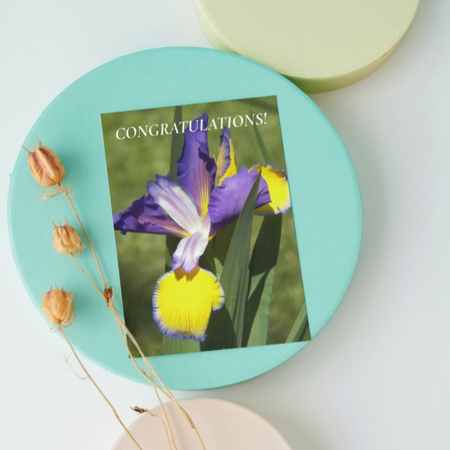 Cartão Iris Floral Roxo e Amarelo Parabéns (In Situ)