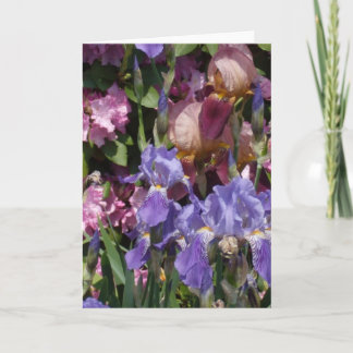 Cartão Iris Garden Purple Blue Pink