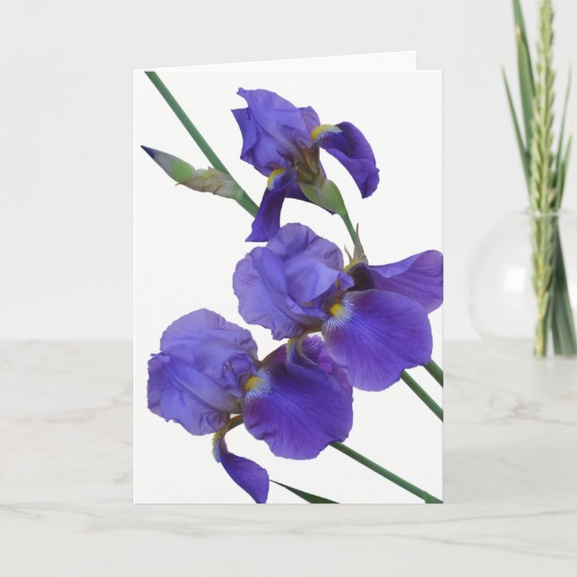Cartão Iris Greeting Card (blank inside) (Frente)
