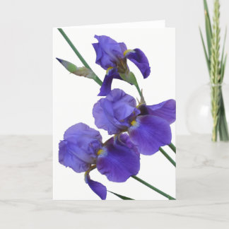 Cartão Iris Greeting Card (blank inside)