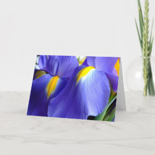 Cartão Iris Happy Birthday Card