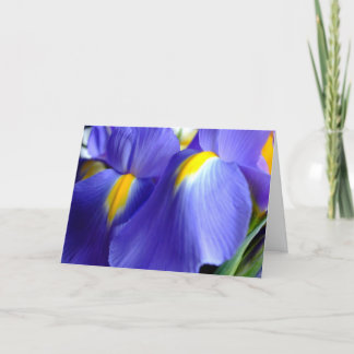 Cartão Iris Happy Birthday Card