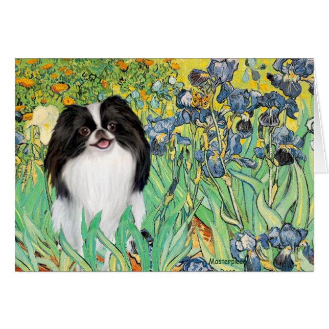 Cartão Íris - Japanese Chin 3 (Frente Horizontal)