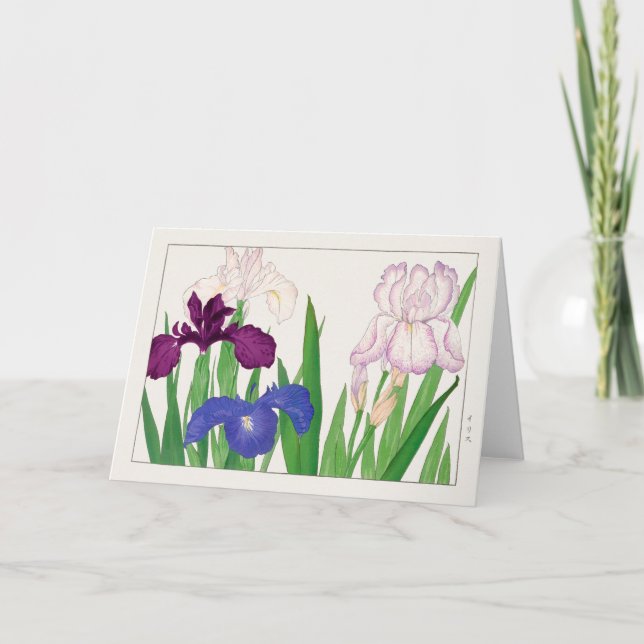 Cartão Íris por Tanigami Konan (Frente)