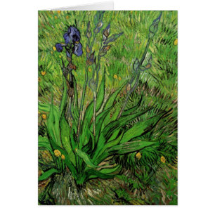 Cartão Íris por Vincent van Gogh, Vintage Garden Fine Art