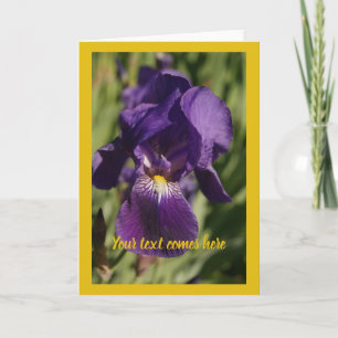 Cartão íris violeta -