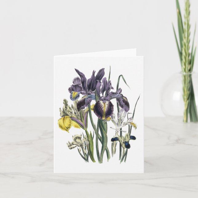 Cartão Iris Watercolor Blank Note Card (Frente)