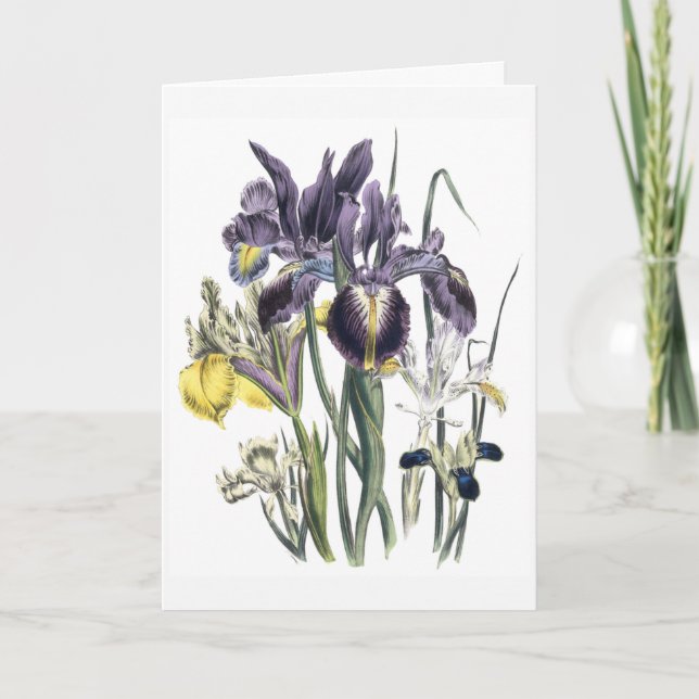 Cartão Iris Watercolor Sympathy Card Updated (Frente)