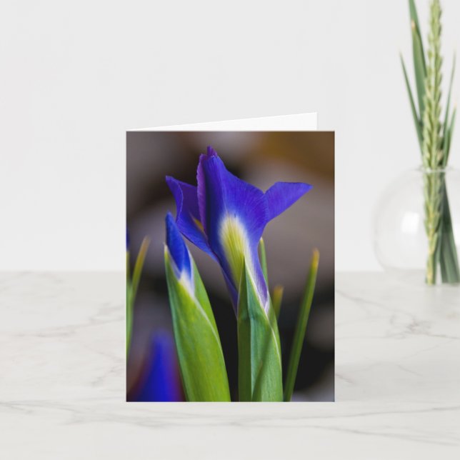 Cartão Irises Note Card (Frente)